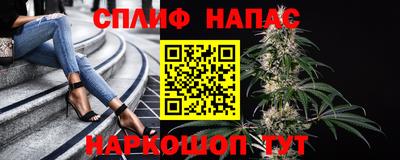 гашик Ставрополь